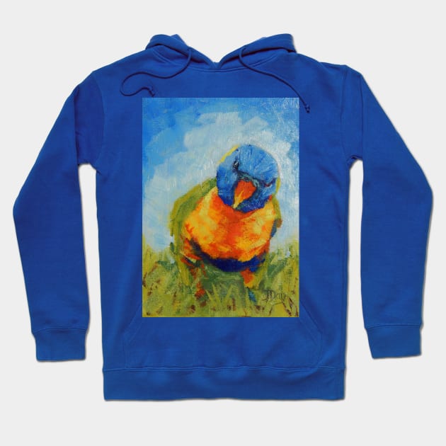 'Rainbow Lorikeet Investigator' Hoodie by Jaana Day